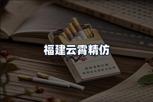 福建云霄精仿